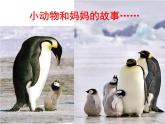 一年級下冊美術課件－8.小動物和媽媽｜嶺南版