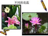二年級下冊美術(shù)課件－5.美麗的花園｜嶺南版