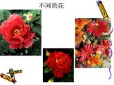 二年級下冊美術(shù)課件－5.美麗的花園｜嶺南版
