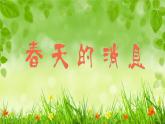 嶺南版三年級(jí)下冊(cè)美術(shù) 13.春天的消息 課件