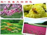 嶺南版三年級(jí)下冊(cè)美術(shù) 13.春天的消息 課件