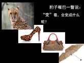 嶺南版五年級下冊美術(shù) 11.重復(fù)與漸變 課件