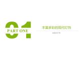 嶺南版五年級(jí)下冊(cè)美術(shù) 14.別致的燈飾 課件