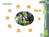 二年級(jí)下冊(cè)美術(shù)課件－9.樹(shù)上樹(shù)下（一）｜蘇少版