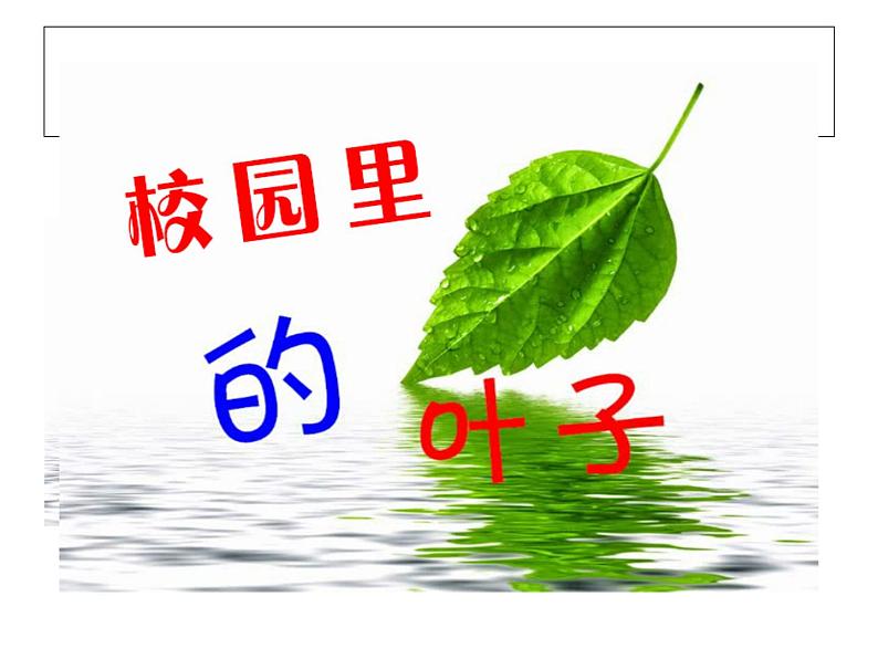 二年级下册美术课件－13.会变的花、树、叶｜苏少版第3页