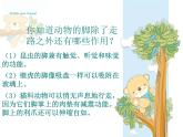 六年級下冊美術(shù)課件－3.能干的腳｜蘇少版