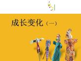 六年级下册美术课件－13.成长变化（一）｜苏少版