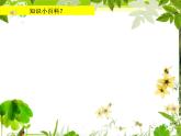 湘美版小学美术一下 8.袋鼠妈妈的口袋 课件