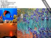 四年級下冊美術課件-第12課：色彩取樣（47）-湘美版