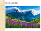 四年級下冊美術課件-第12課：色彩取樣（43）-湘美版