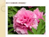 四年級下冊美術課件-第12課：色彩取樣（43）-湘美版