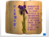 四年級(jí)下冊美術(shù)課件-第13課：藏書票（23）-湘美版（13張PPT）