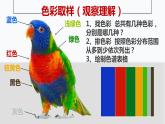 四年級下冊美術課件-第12課：色彩取樣（48）-湘美版（8張PPT）