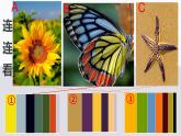 四年级下册美术课件-第12课：色彩取样（48）-湘美版（8张PPT）