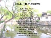 三年级上册美术课件第8课 水墨游戏---画树｜沪教版 19页