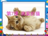 三年级下册美术课件-第7课 我家的猫｜辽海版