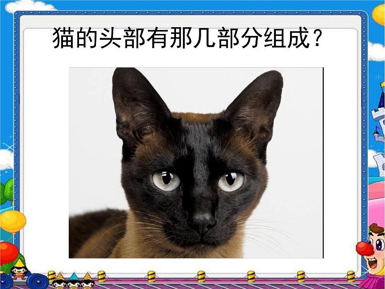 三年级下册美术课件-第7课 我家的猫｜辽海版第4页