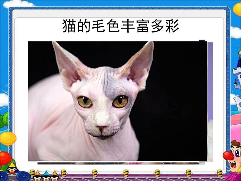 三年级下册美术课件-第7课 我家的猫｜辽海版第5页