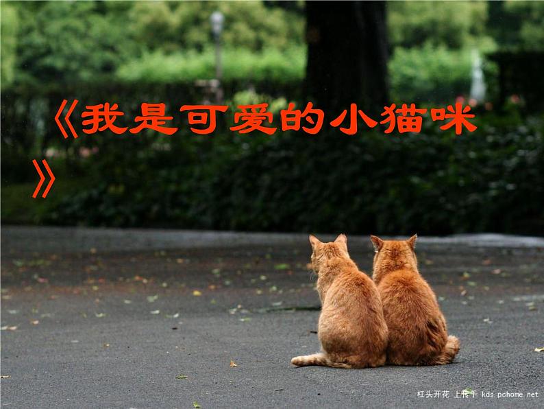 三年级下册美术课件-第7课 我家的猫｜辽海版第6页