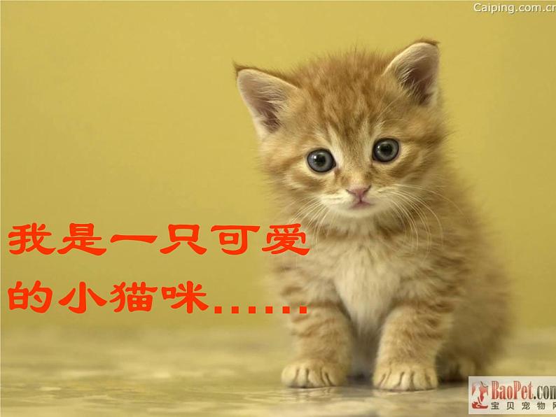 三年级下册美术课件-第7课 我家的猫｜辽海版第7页