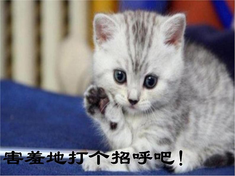 三年级下册美术课件-第7课 我家的猫｜辽海版第8页