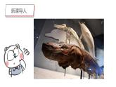 第7課《海洋怪獸》課件PPT+課件