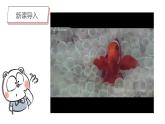 第8课《做做海洋生物》课件PPT+课件