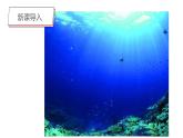 第6課《海洋世界》課件PPT+課件