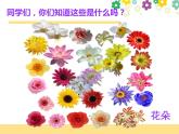赣美版一下2.鲜艳的花朵 课件