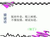 赣美版二下5.虫虫世界 课件