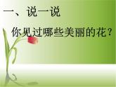 赣美版一下2.鲜艳的花朵 课件