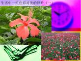 冀美版五下美術(shù) 1.色彩的對(duì)比 課件