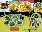 冀美版五下美術(shù) 1.色彩的對(duì)比 課件