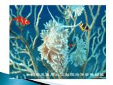 一年级下册美术课件－2.海底世界多奇妙｜岭南版