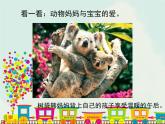 一年級下冊美術課件－8.小動物和媽媽｜嶺南版