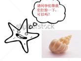 一年级下册美术课件－9.海螺和海星｜岭南版