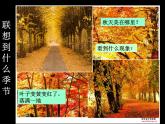 嶺南版三年級下冊美術(shù) 15.秋天的落葉 課件