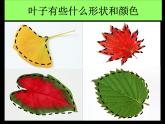 嶺南版三年級下冊美術(shù) 15.秋天的落葉 課件