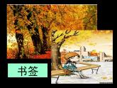 嶺南版三年級下冊美術(shù) 15.秋天的落葉 課件