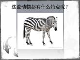 四年級(jí)下冊(cè)美術(shù)課件－9.變照片為黑白的畫 ｜嶺南版