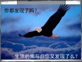 四年級(jí)下冊(cè)美術(shù)課件－9.變照片為黑白的畫 ｜嶺南版