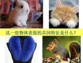岭南版五年级下册美术 8.不同物象的表面特征 课件