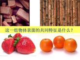 岭南版五年级下册美术 8.不同物象的表面特征 课件
