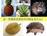 岭南版五年级下册美术 8.不同物象的表面特征 课件
