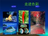 嶺南版五年級下冊美術(shù) 10.變幻的色彩 課件