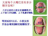 岭南版六年级下册美术 6.我们的“爱牙日” 课件