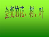 二年級(jí)下冊美術(shù)課件－13.會(huì)變的花、樹、葉｜蘇少版