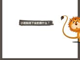 二年級(jí)下冊(cè)美術(shù)課件－18.各式各樣的椅子（一）｜蘇少版