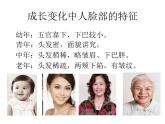 六年级下册美术课件－13.成长变化（一）｜苏少版