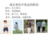 六年级下册美术课件－13.成长变化（一）｜苏少版